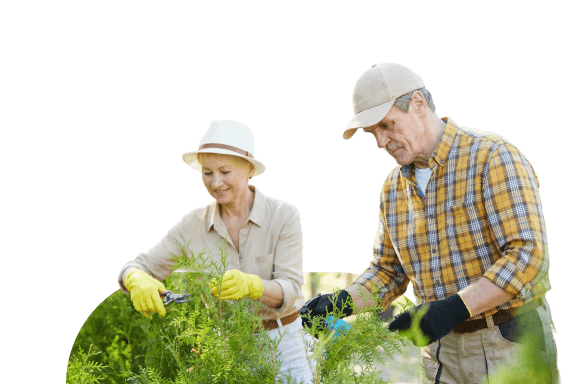 Elderly Couple in Hats Pruning Plants Together at an Independent Living Community